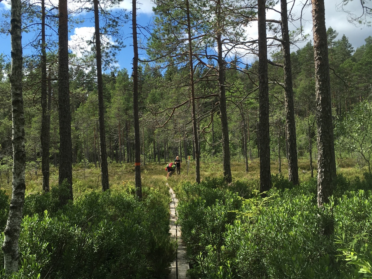 Es war einmal … Schweden im Sommer 2019 – Trekkingtour im Naturreservat Glaskogen